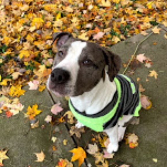 Meet your Posher, Em - Picture 3 of 3